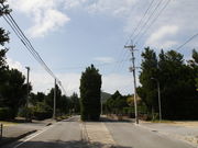 񂳂̐^ӂ̃`tNM̓eʐ^1