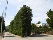 񂳂̐^ӂ̃`tNM̓eʐ^2