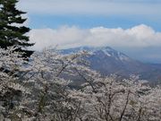 �q�j����̒J�ˏ�Ղ̓��e�ʐ^1