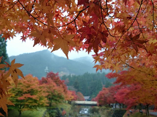 波賀不動滝公園 楓香荘 トップ ペット