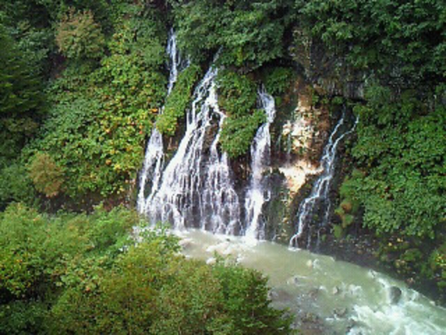 ���Ђ��̑�_�т�����������