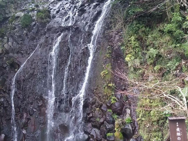 �뉀�̒��ɂ���܂��B_���|�̑�