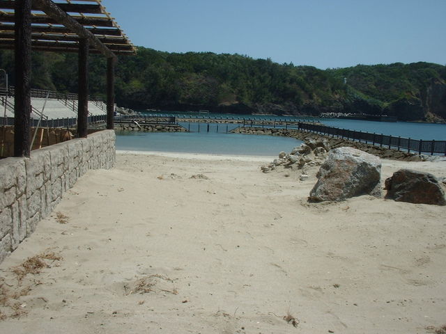 �E�~�K���Y����_�e�l�Ȃ�������