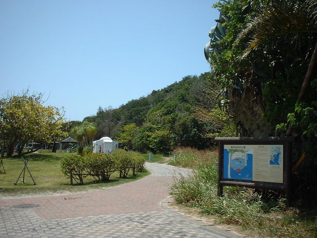 ����_�e�l�Ȃ�������