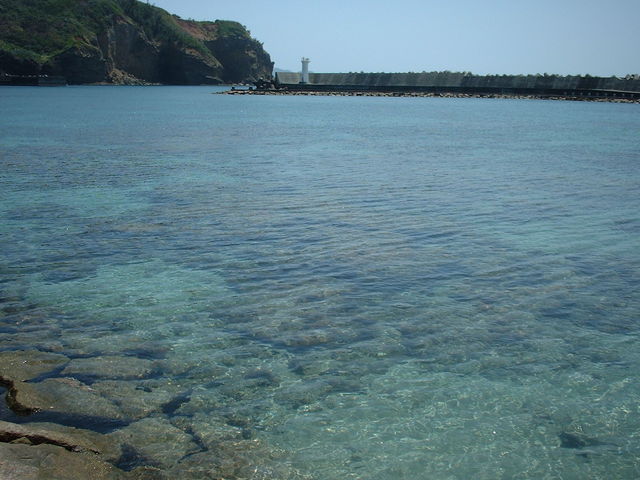 �X���_�e�l�Ȃ�������