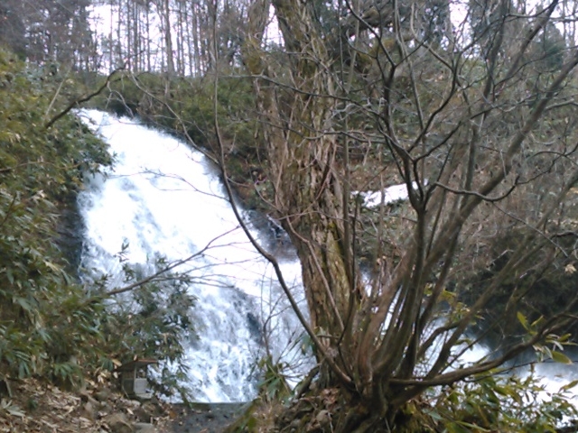 �����Ԃ��𗁂тȂ��猃�ʁB_���̉w����������