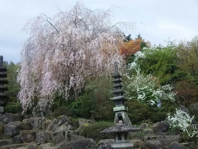 �Ԍ��R�����������΂̍�_�Ԍ��R����