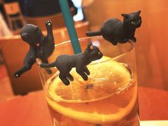 pJ̃JtFEx[`F r܃TVCOXւ̓eʐ^1