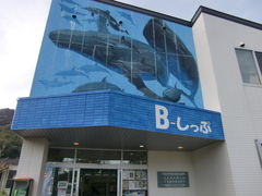 花ちゃんさんのB-しっぷ（商工観光会館）の投稿写真1