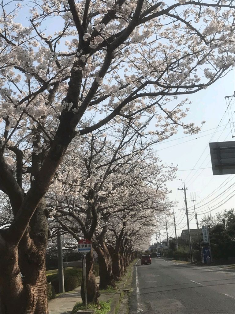 吉野ケ里公園駅周辺の観光スポットランキングtop10 8ページ目 じゃらんnet