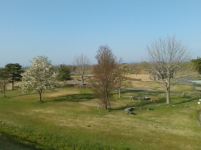 �s�N�j�b�N�ɂ����ł��ˁB_���������^������