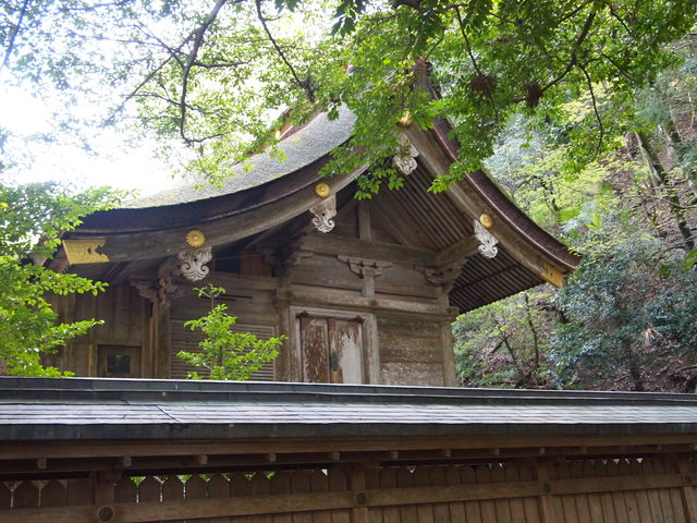 �{�a_�ዷ�P�_��