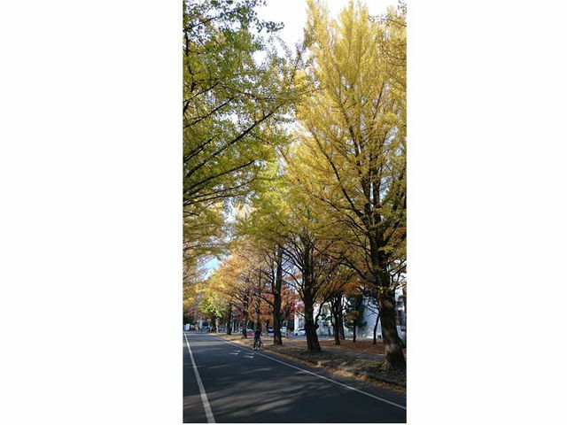 �i��_�k��C�`���E����