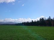 䂤񂳂̓\ԓH̓eʐ^3