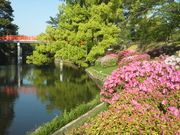 傤̉̃TcLCccW̓eʐ^1