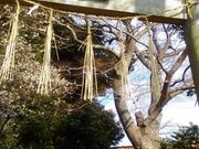 DoubleO7̈א_Ђ̓eʐ^2