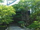 しょうこさんの岡崎公園の紅葉への投稿写真3