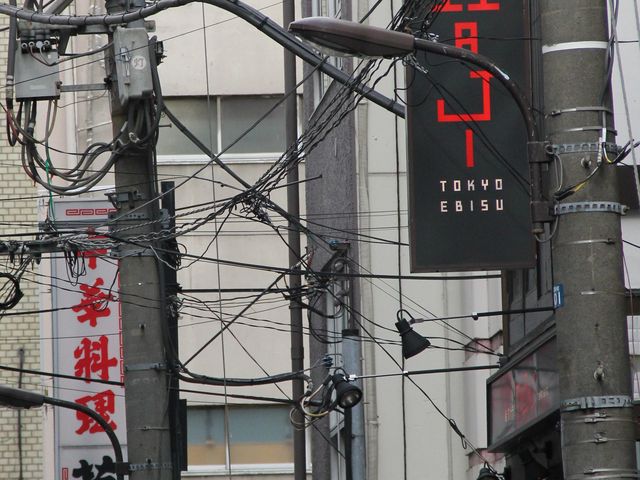 Gh̒YΏēgWőX̓eʐ^1