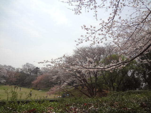�y�肩�猩����_���q���