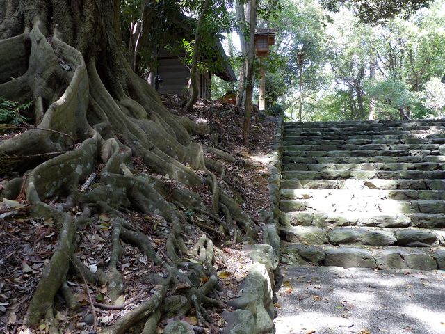 �Ō�̊K�i�ƌÖ�_�`�P�{