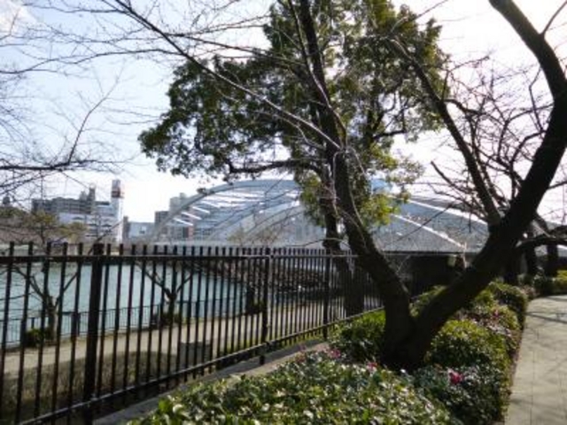 1���͍ʂ�Ɍ����܂���_�єn���V�{����