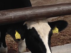 �Ё[���񂳂�̂������P�P�W�ւ̓��e�ʐ^1