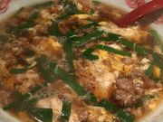 Ȃ݂̐hˉ  F{X̓eʐ^1