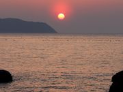 Ƃ񂳂̓̉w ͖̓eʐ^5