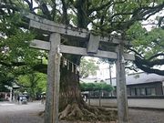 񂿂񂳂̐{_Ђ̓eʐ^1