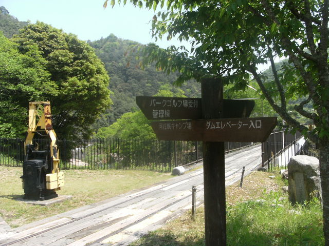 �p���Ղ�ʂ��ăO���[����_�͍����p�[�N�S���t��