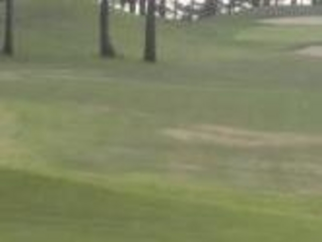 ANZ[JC̒IRSty̓eʐ^1