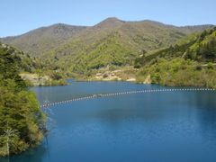 momo񂳂̎l_ւ̓eʐ^1