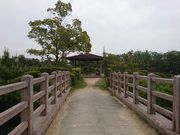 korikori̗鎭N̐X̓eʐ^2