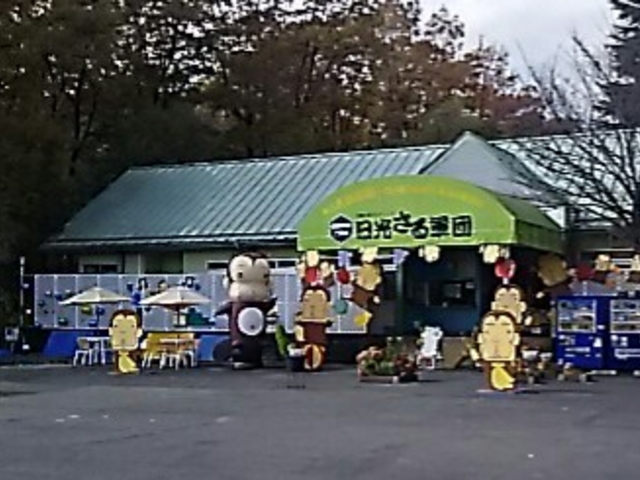 �L�O�ʐ^���B��܂��B_�����郉���h���A�j�^�E��