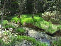 EGX^C[Xg̓crւ̓eʐ^1