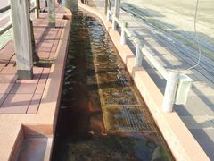 ܂񂳂̏l򑫓@قƂӂƂPOTւ̓eʐ^1