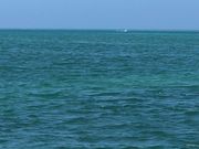 �O���C����̓V��W�]��̓��e�ʐ^1