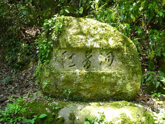 �R�����E����s�E�H�F��_�H�F��