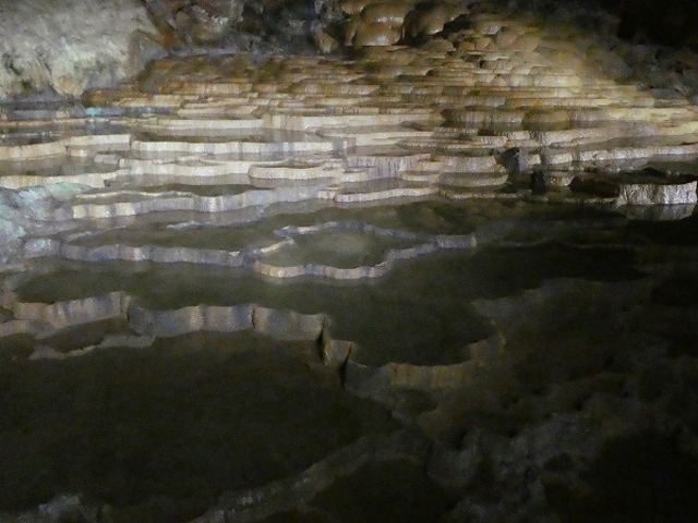 �R�����E����s�E�H�F��_�H�F��