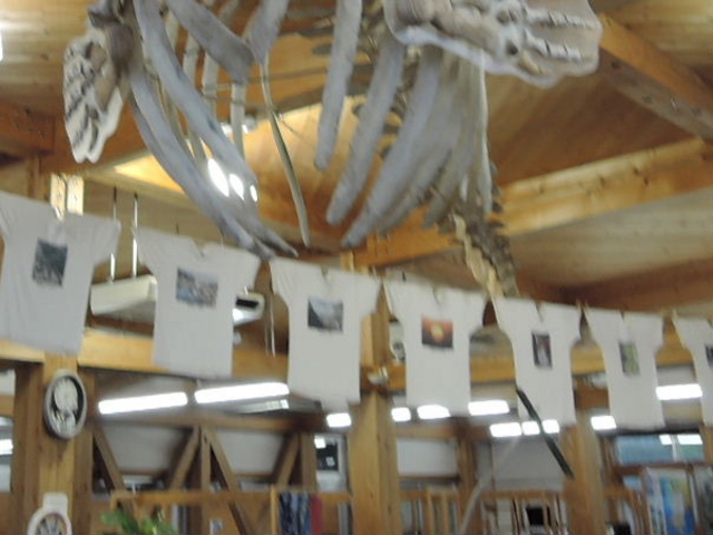 �s�V���c�A�[�g�W_�y�������K�͌����i����n��j