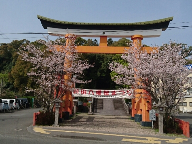 ����_�V�c�_��