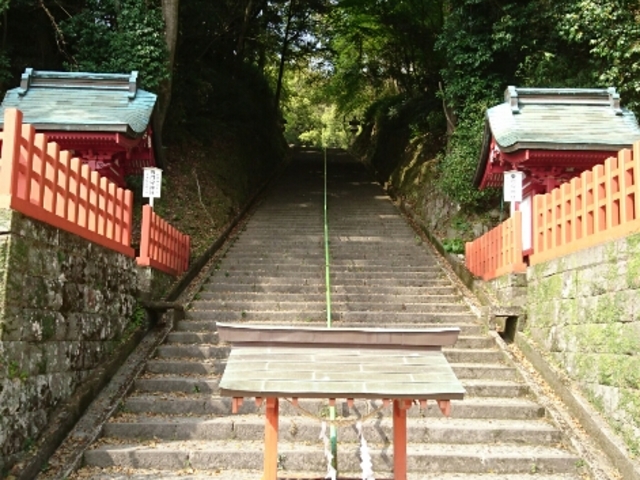 �Βi_�V�c�_��