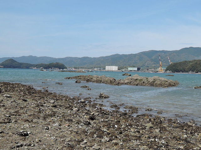 ���z������_���z������