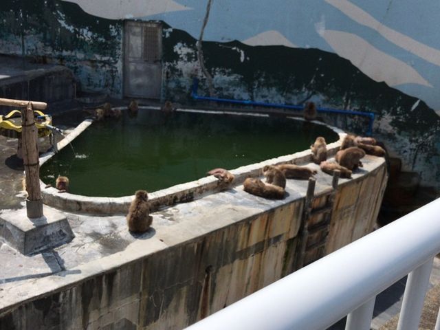 ��������_���̐쉷��