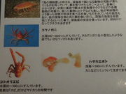 sumi̎ˊCm[w ANAt@[̓eʐ^1