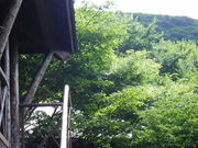 kenkeňȎRLviLsj̓eʐ^1