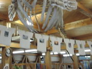 kenken̓yK͌inj̓eʐ^1