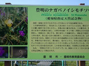 tyrelli̖L̃iKomCV`\En̓eʐ^1