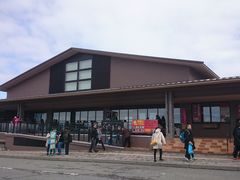 �ꂨ�񂳂�̋ʎq�����ւ̓��e�ʐ^1