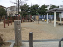 �g�V���[����̓�ъԂނ݌����ւ̓��e�ʐ^1